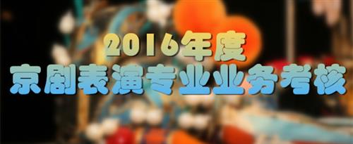 摸我的逼嗯额啊国家京剧院2016年度京剧表演专业业务考...